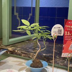 小八仙·精品川菜(源著店) User Photo