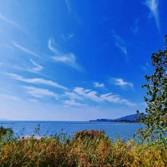 泊隐·花境 User Photo