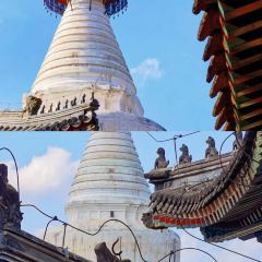 存海羊杂碎·清真 User Photo