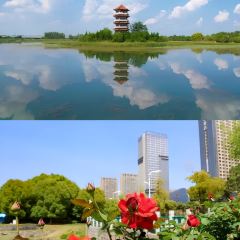 东关回民小吃一条街 User Photo