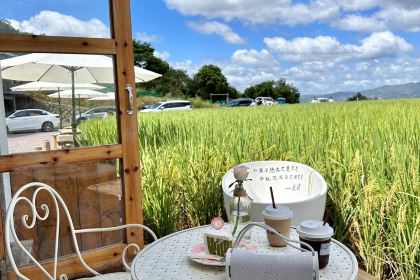 在发呆·lan's浪肆咖啡庄园