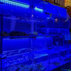 毅の居酒屋(二街店) User Photo