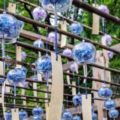 Tonkatsu Tonton張用戶圖片