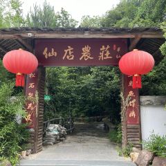仙店农庄(湖景农庄餐厅) User Photo