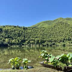 小杭坑2号营地 User Photo