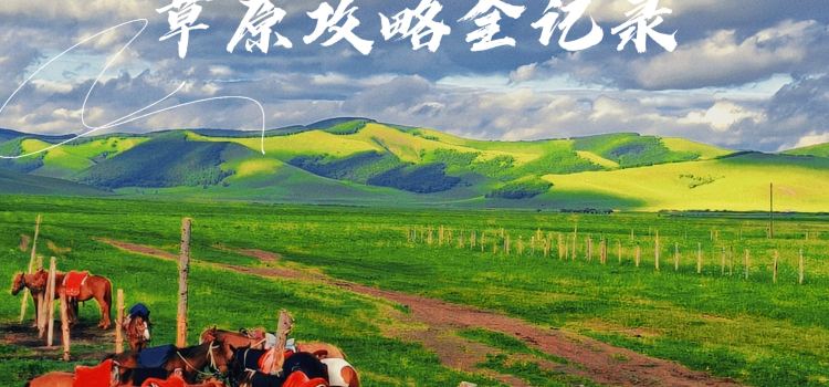 Xinxingmeiweijiachu