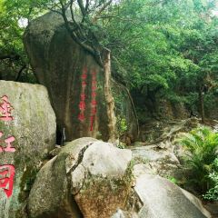 三姐妹腸粉（萬安花園店）張用戶圖片