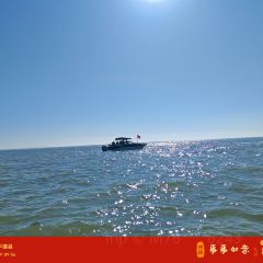 悅玲瓏·西關茗點張用戶圖片