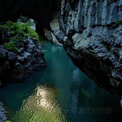 林記豆湯圓子火鍋張用戶圖片