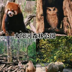 双龙烧烤城 User Photo