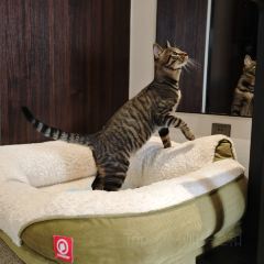 湖州臻隐锦绣别墅度假酒店 · 漾YOUNG User Photo