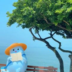 YONGXINGSHENGHAO User Photo