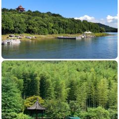 YU YAN LOU User Photo