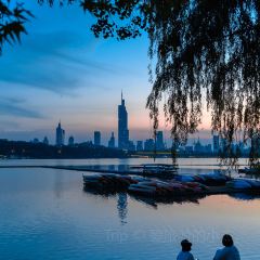 PURPLE MOUNTAIN GARDEN User Photo