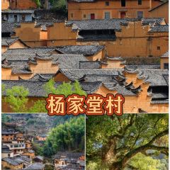 NA MING YIN XIANG User Photo