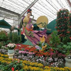 WU SHI SHAO KAO User Photo