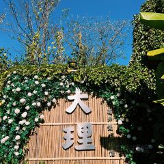 楊記餌塊張用戶圖片