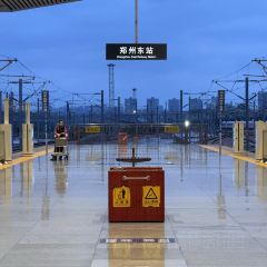 ZHENG XI WANG User Photo