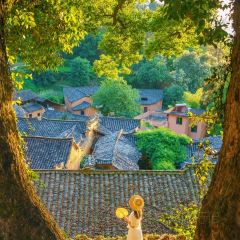 徐记煨盐鸡 User Photo