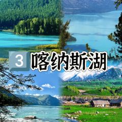 ZHENG FEI DAIRY User Photo