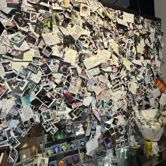 半两·咖啡书店·浮生是杯酒 User Photo