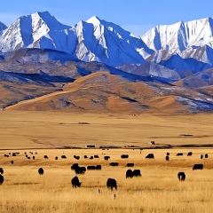 SNOWLAND'S SECRET 여행 사진