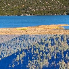 MIN ZHU LA MU TIBET RESTAURANT 여행 사진