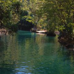 PullMind​ Cafe張用戶圖片