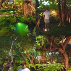 Elely Cafe’ แอลลี่ คาเฟ่張用戶圖片