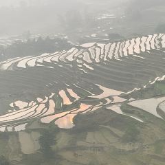 元阳万缮度假酒店餐厅 User Photo