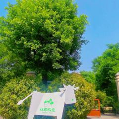从前农庄 User Photo