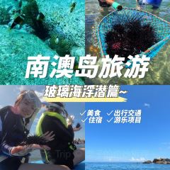 青澳湾打卡果汁冰公司 User Photo