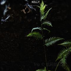 鮨凡·Omakase(深圳湾店) User Photo