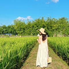 春沐源咖啡厅 User Photo