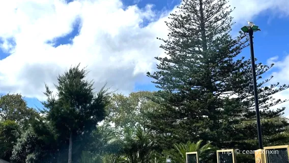 Palm Springs Geothermal Pools Complex