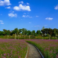 秀山湖畔張用戶圖片