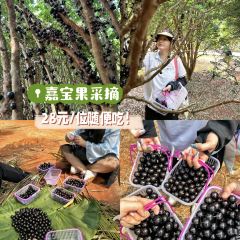 福山土窑养生饭庄(福山镇店) 여행 사진
