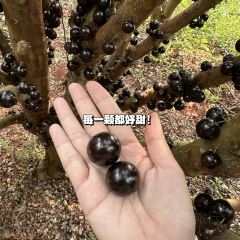 福山土窑养生饭庄(福山镇店) 여행 사진