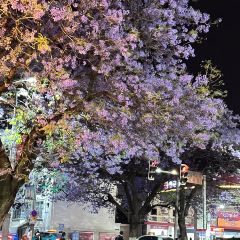 凉山州彝族自治州西昌市布托县城 User Photo