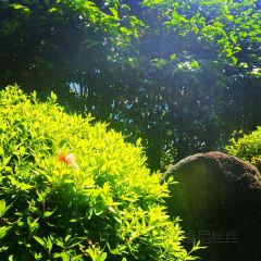 Manor Blanc User Photo