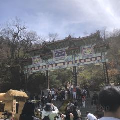 老君山枕云悬崖观景民宿·老君山顶2217云顶餐厅 User Photo