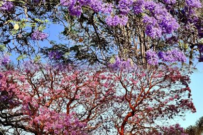 Taj Cafe and Restaurant-The Taste of India