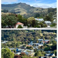 Talk of India User Photo