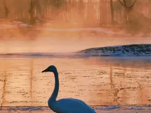 Swan Lake Ecological Tourism Scenic Area