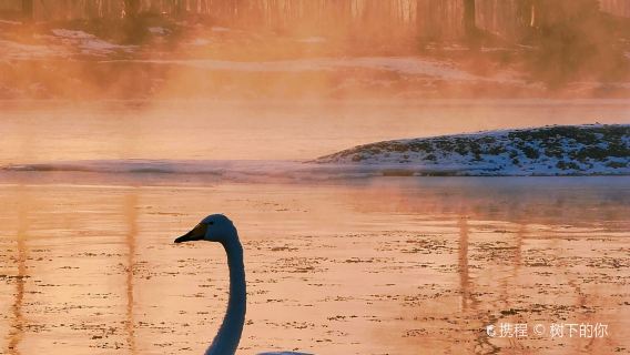 Swan Lake Ecological Tourism Scenic Area