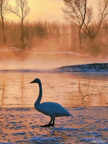 Swan Lake Ecological Tourism Scenic Area