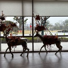 嘉兴开元森泊度假酒店·森灵岩洞餐厅 User Photo