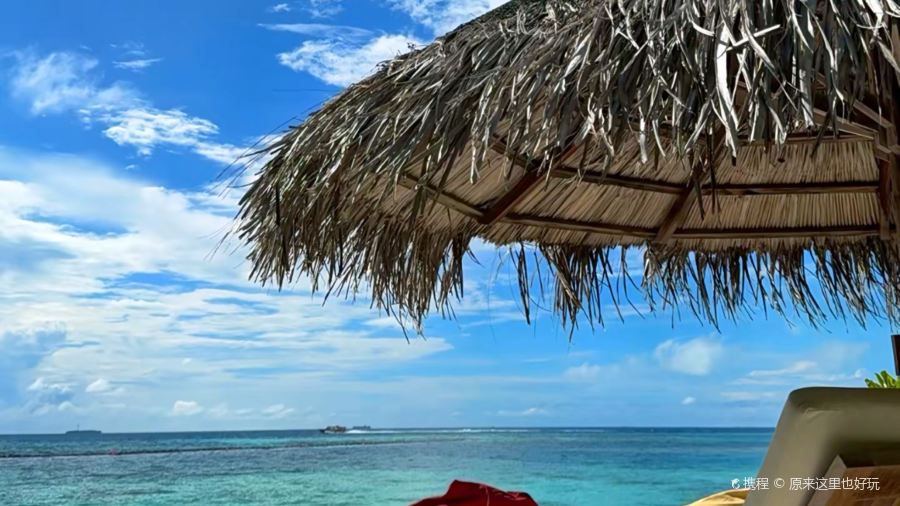 Moonlight - FOOD . DRINKS . SHISHA