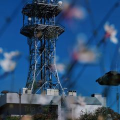 Tonkatsu Tonton張用戶圖片