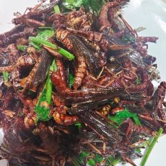 蚂蚱鸡饭店(竹泉村店) User Photo